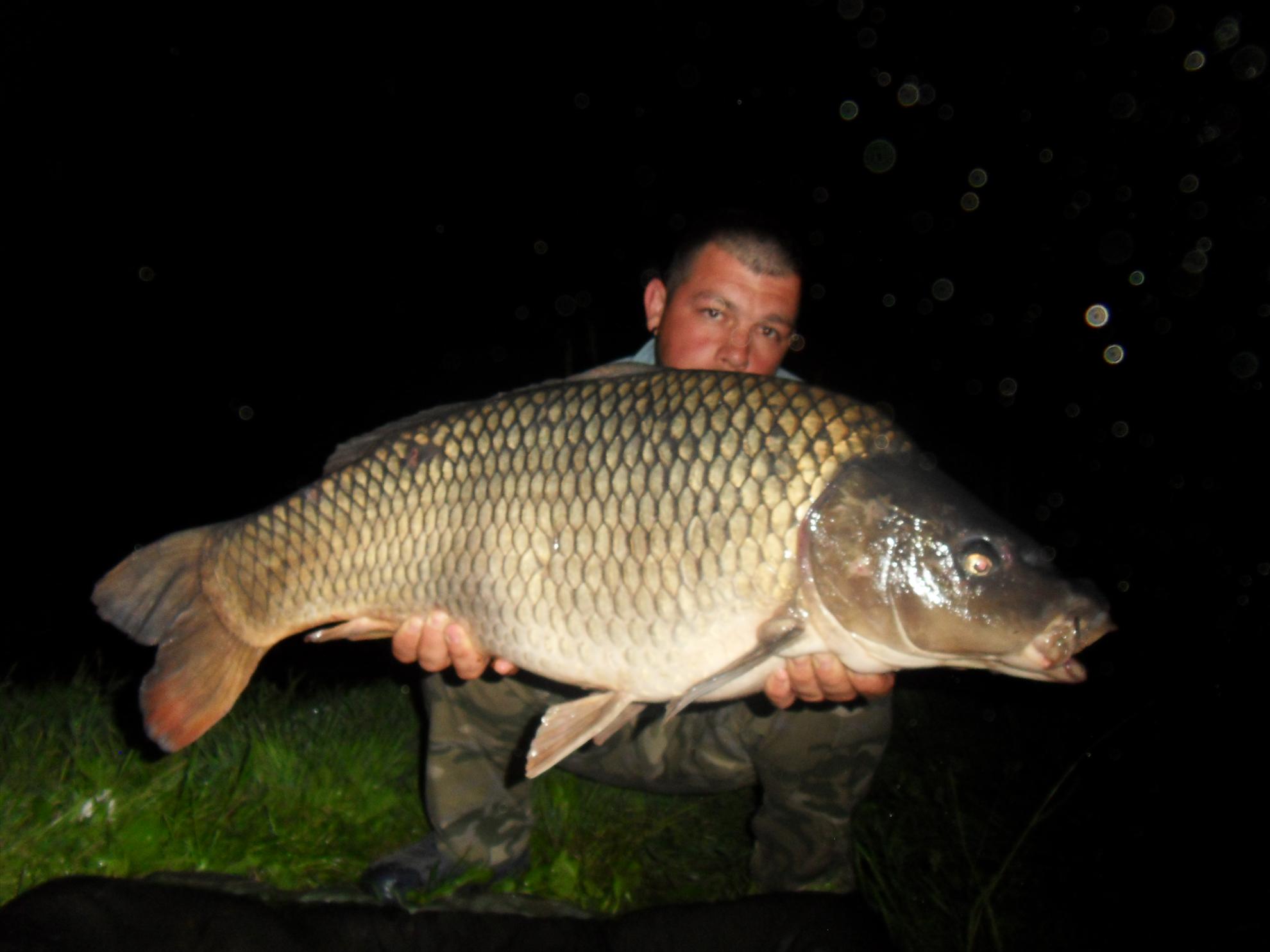 Cetariu 2011 - cetariu2011-080.JPG